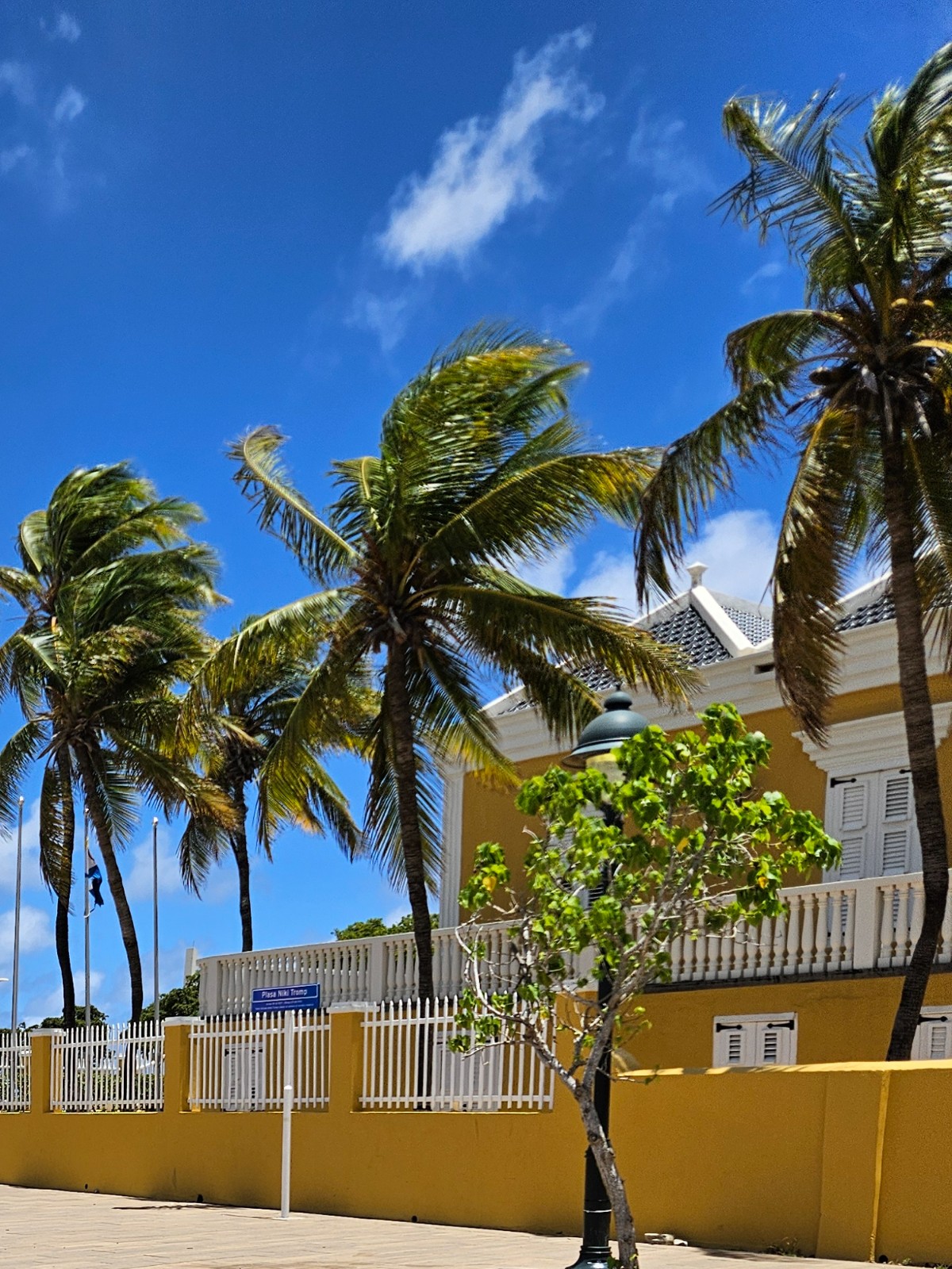 Tall palm trees and a bright yellow building with a white fence beside a paved plaza under a blue sky.